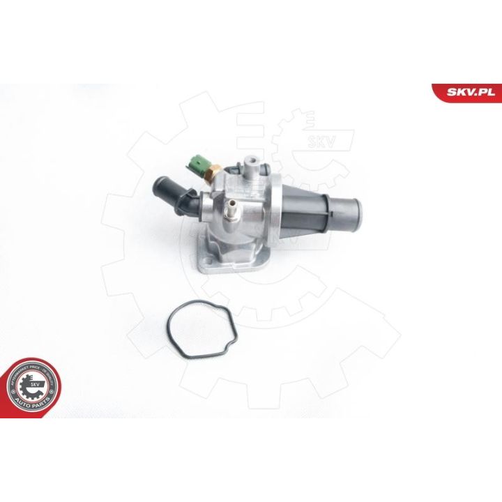 Termostatas, aušinimo skystis ESEN SKV 20SKV038