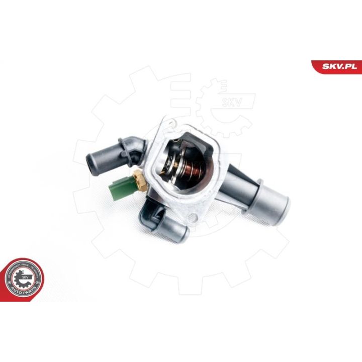 Termostatas, aušinimo skystis ESEN SKV 20SKV038