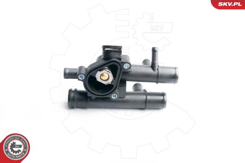 Termostatas, aušinimo skystis ESEN SKV 20SKV039