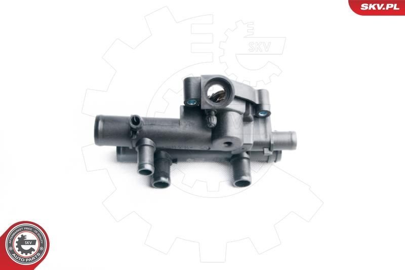 Termostatas, aušinimo skystis ESEN SKV 20SKV039