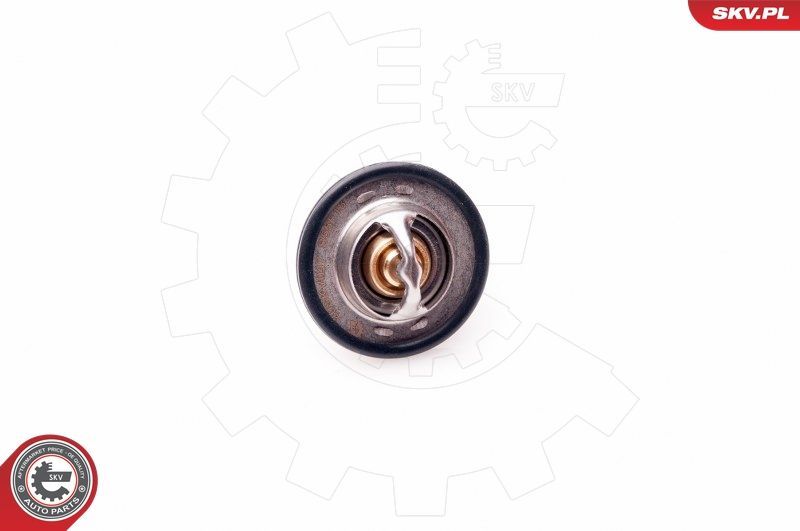 Termostatas, aušinimo skystis ESEN SKV 20SKV047