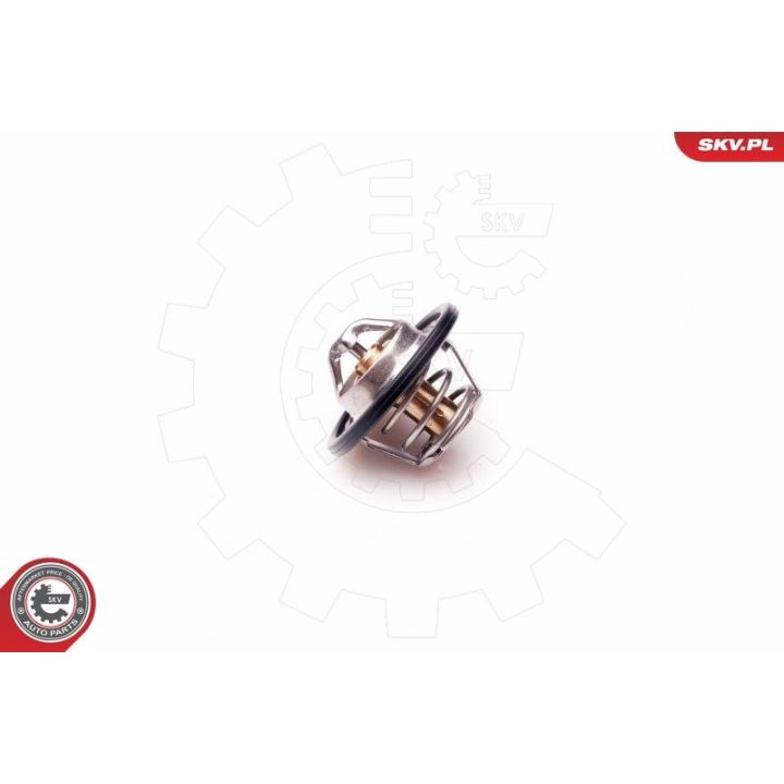 Termostatas, aušinimo skystis ESEN SKV 20SKV047