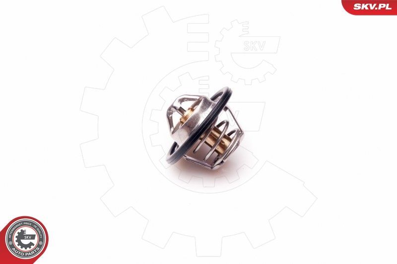 Termostatas, aušinimo skystis ESEN SKV 20SKV047