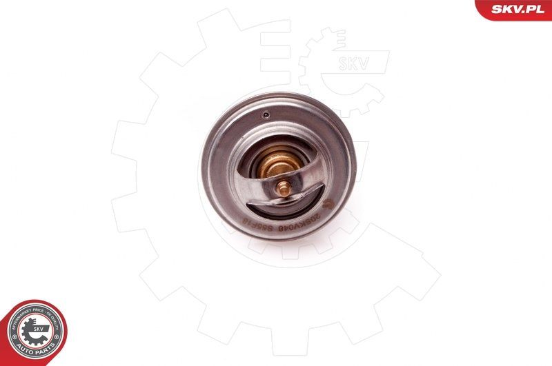 Termostatas, aušinimo skystis ESEN SKV 20SKV048