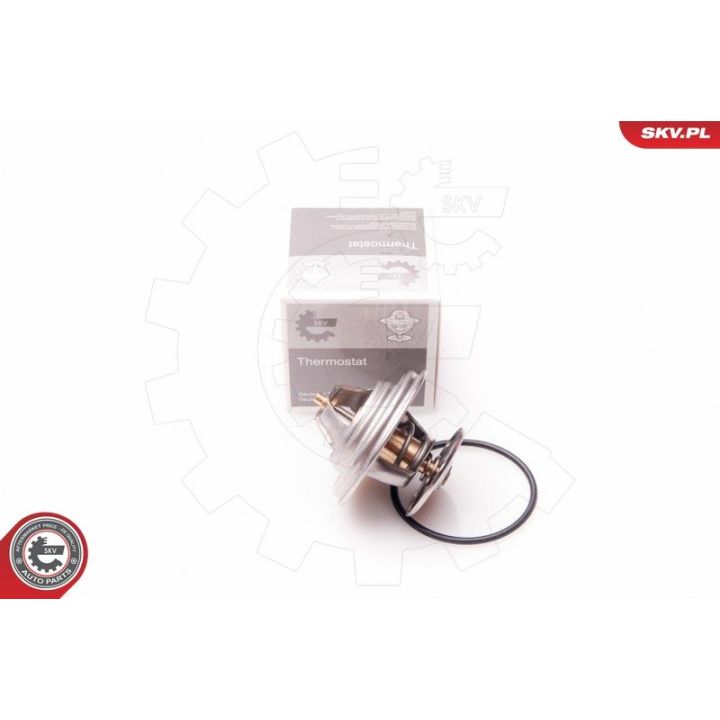 Termostatas, aušinimo skystis ESEN SKV 20SKV048