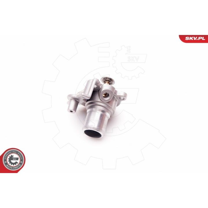 Termostatas, aušinimo skystis ESEN SKV 20SKV069