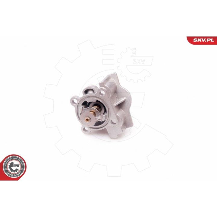 Termostatas, aušinimo skystis ESEN SKV 20SKV069