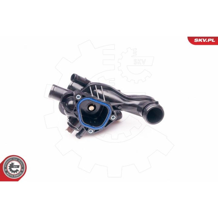Termostatas, aušinimo skystis ESEN SKV 20SKV070