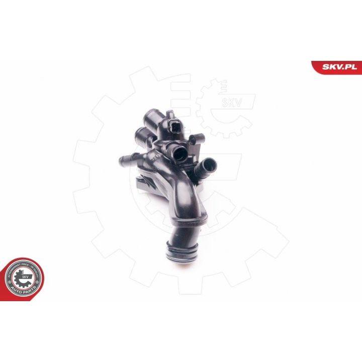 Termostatas, aušinimo skystis ESEN SKV 20SKV070