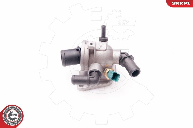 Termostatas, aušinimo skystis ESEN SKV 20SKV071