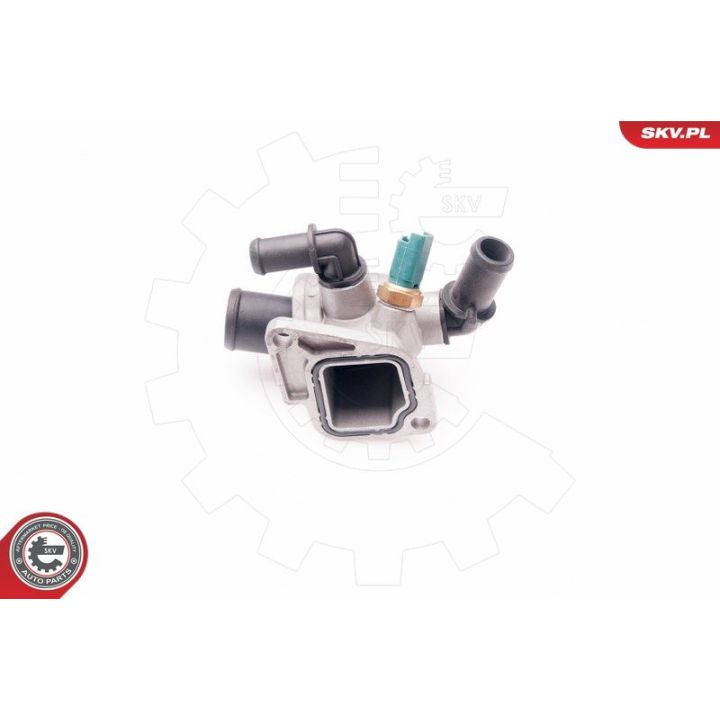 Termostatas, aušinimo skystis ESEN SKV 20SKV071