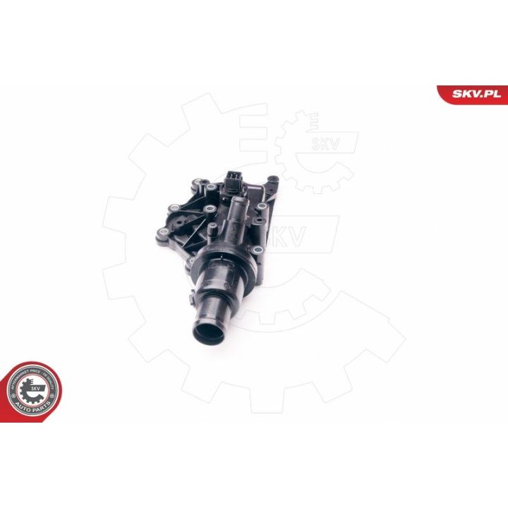 Termostatas, aušinimo skystis ESEN SKV 20SKV073
