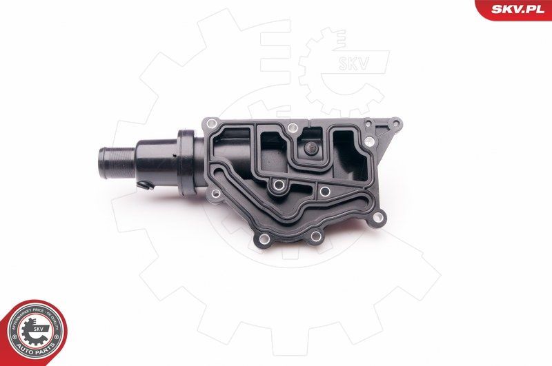Termostatas, aušinimo skystis ESEN SKV 20SKV073