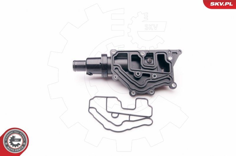 Termostatas, aušinimo skystis ESEN SKV 20SKV073