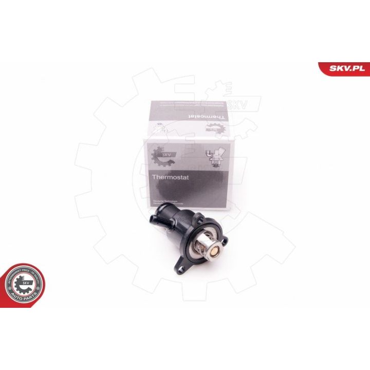 Aušinimo skysčio jungė ESEN SKV 20SKV074