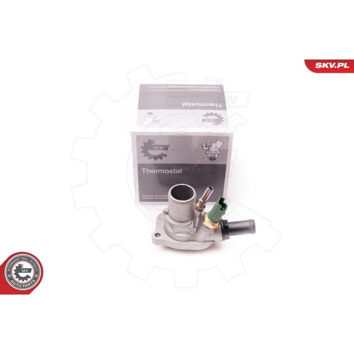 Termostatas, aušinimo skystis ESEN SKV 20SKV075