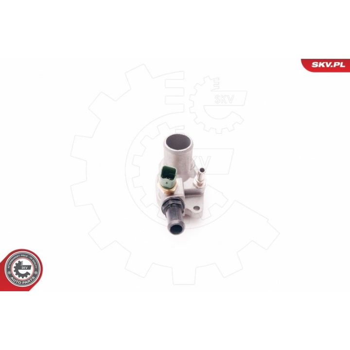 Termostatas, aušinimo skystis ESEN SKV 20SKV075