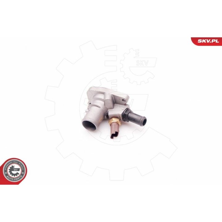 Termostatas, aušinimo skystis ESEN SKV 20SKV076