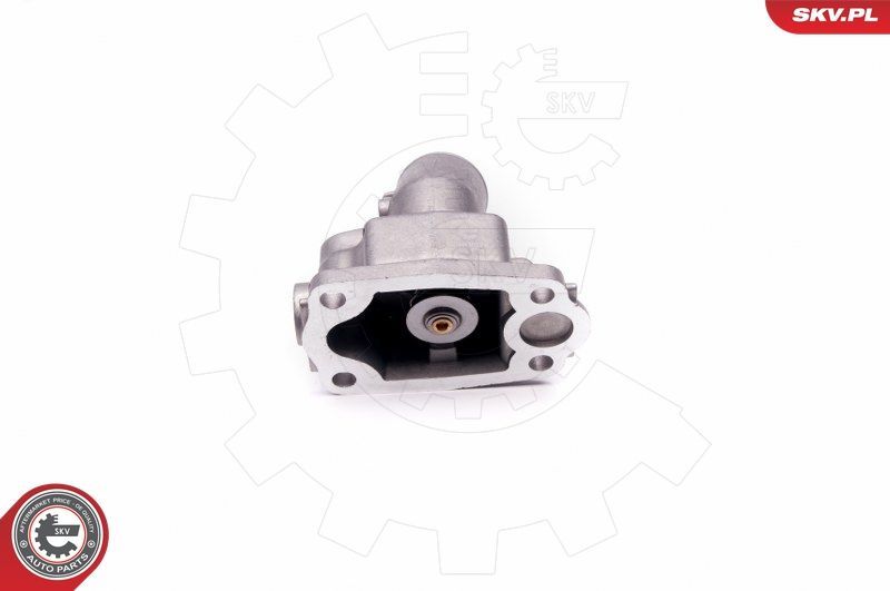 Termostatas, aušinimo skystis ESEN SKV 20SKV079