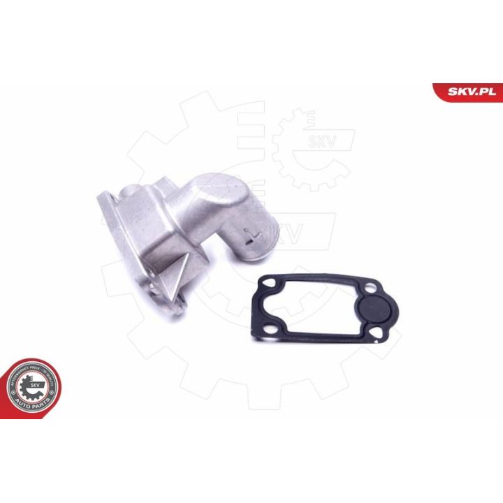 Termostatas, aušinimo skystis ESEN SKV 20SKV080