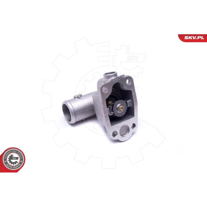 Termostatas, aušinimo skystis ESEN SKV 20SKV080