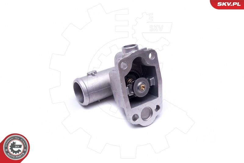 Termostatas, aušinimo skystis ESEN SKV 20SKV080