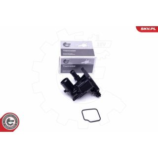 Termostatas, aušinimo skystis ESEN SKV 20SKV087