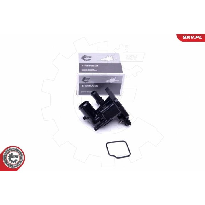 Termostatas, aušinimo skystis ESEN SKV 20SKV087