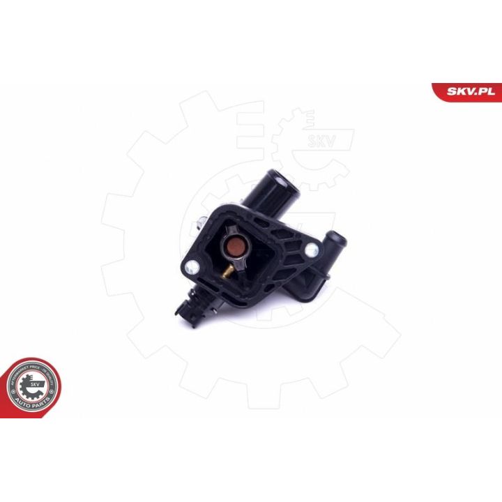 Termostatas, aušinimo skystis ESEN SKV 20SKV087