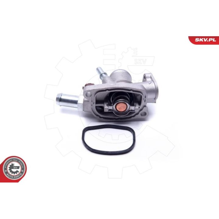 Termostatas, aušinimo skystis ESEN SKV 20SKV088