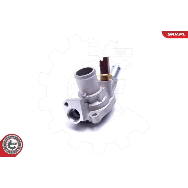 Termostatas, aušinimo skystis ESEN SKV 20SKV088