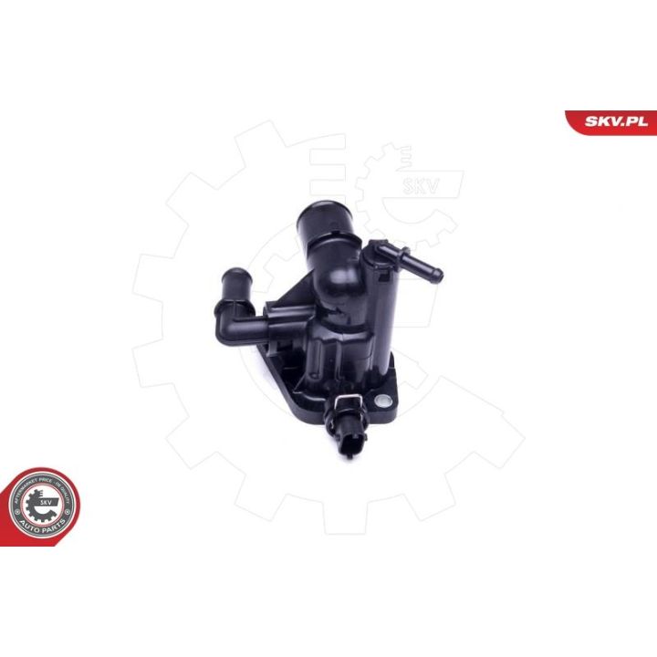 Termostatas, aušinimo skystis ESEN SKV 20SKV089