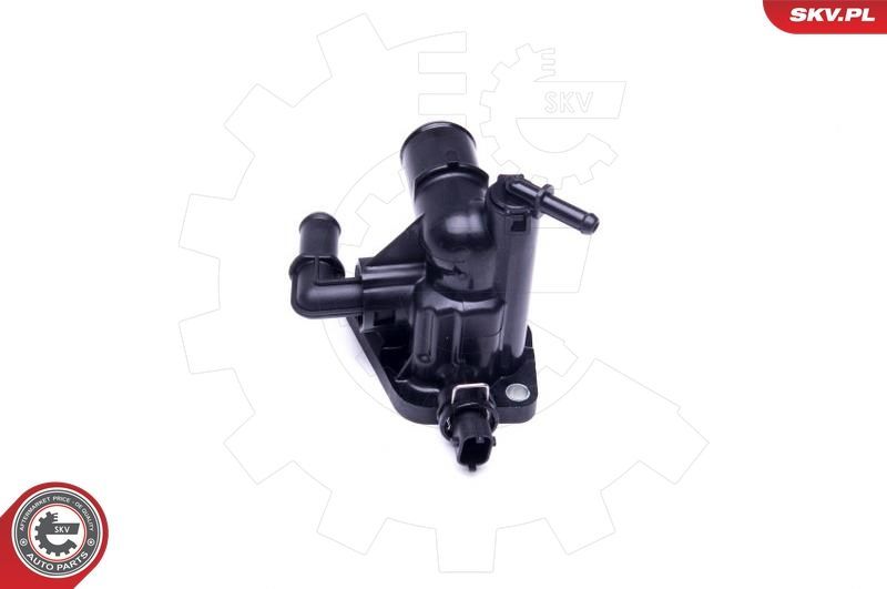 Termostatas, aušinimo skystis ESEN SKV 20SKV089