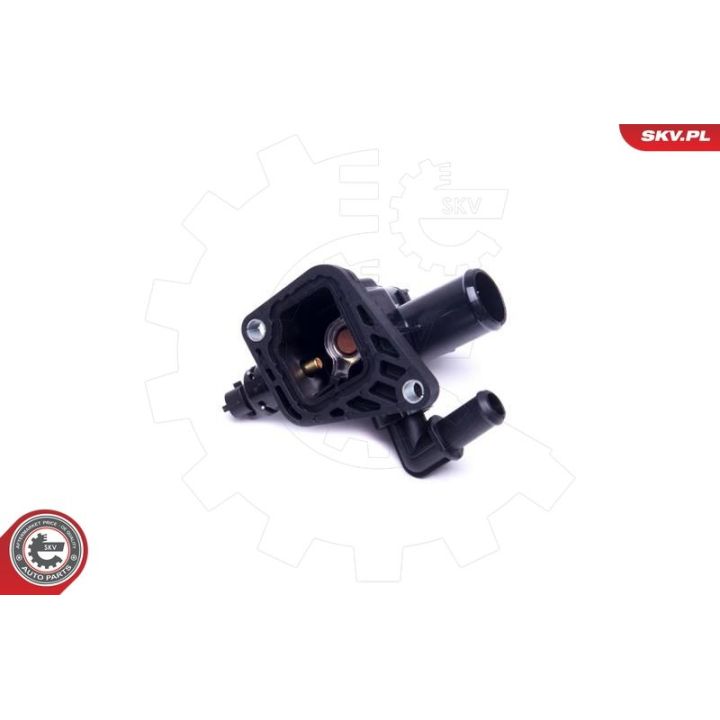 Termostatas, aušinimo skystis ESEN SKV 20SKV089