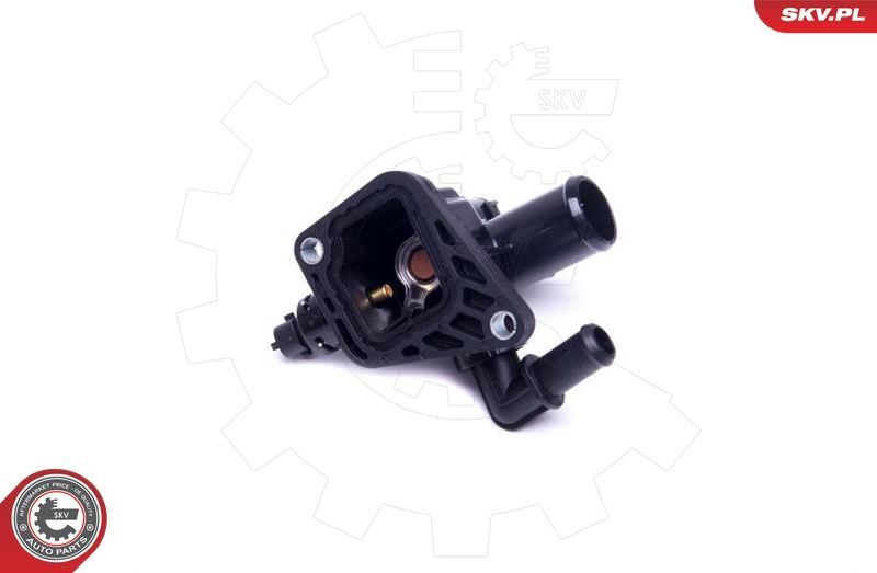 Termostatas, aušinimo skystis ESEN SKV 20SKV089