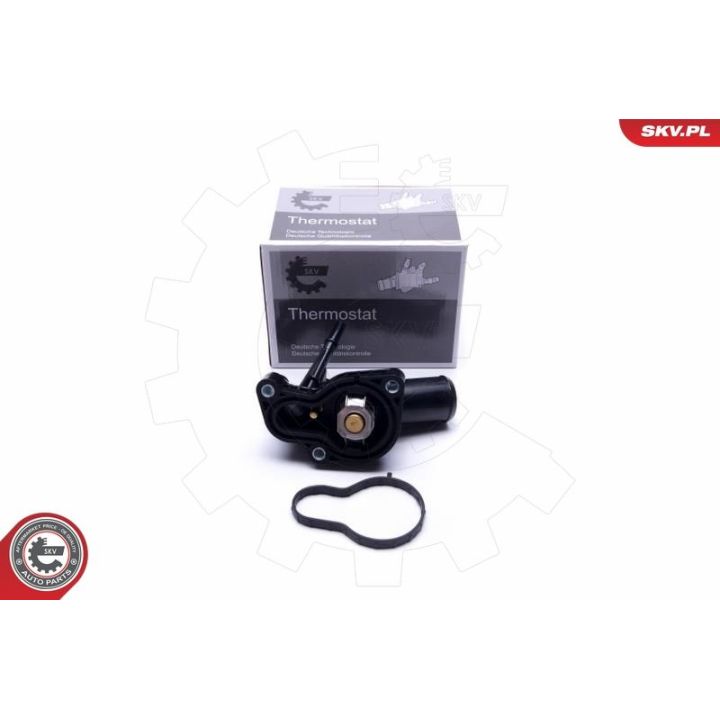 Termostatas, aušinimo skystis ESEN SKV 20SKV090