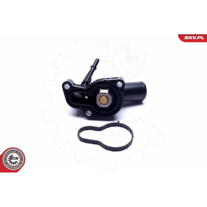 Termostatas, aušinimo skystis ESEN SKV 20SKV090