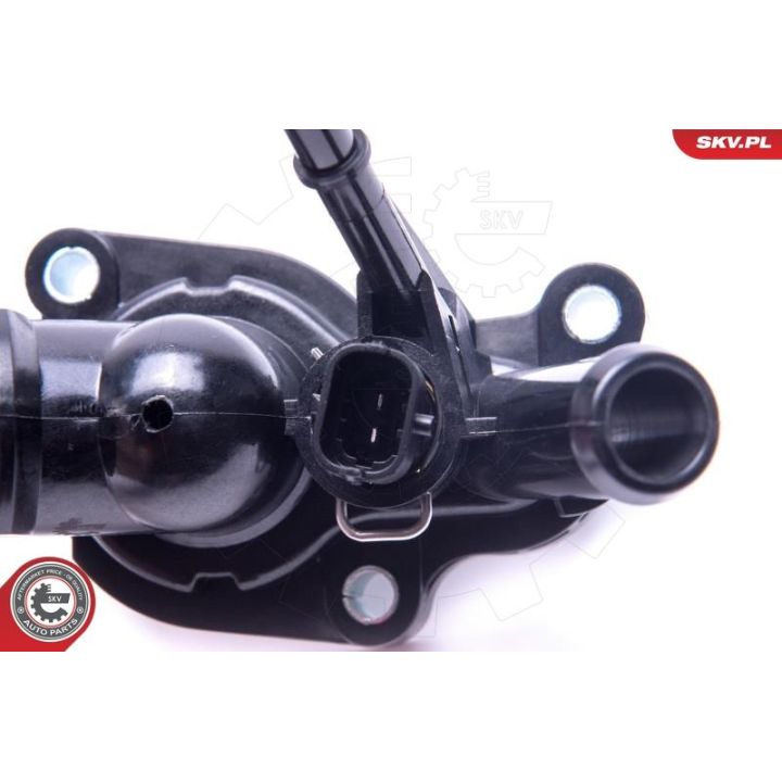 Termostatas, aušinimo skystis ESEN SKV 20SKV090