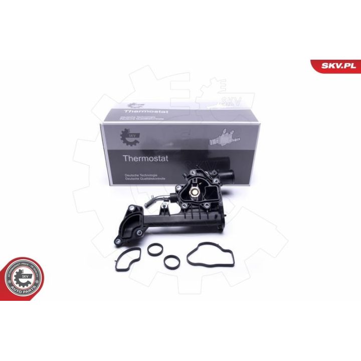 Termostatas, aušinimo skystis ESEN SKV 20SKV091