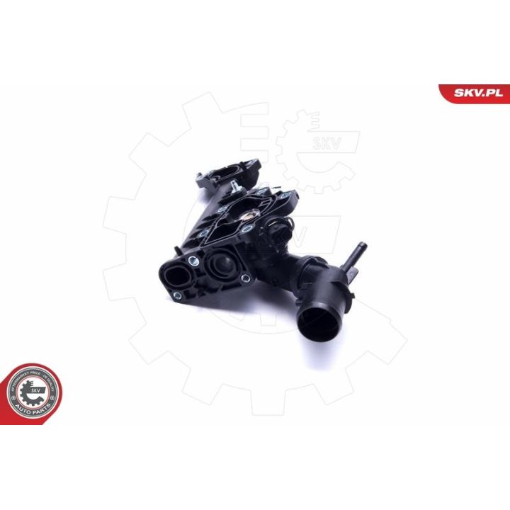 Termostatas, aušinimo skystis ESEN SKV 20SKV091