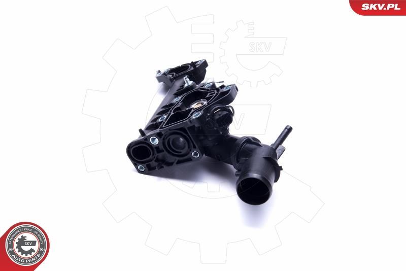 Termostatas, aušinimo skystis ESEN SKV 20SKV091