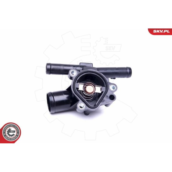 Termostatas, aušinimo skystis ESEN SKV 20SKV093