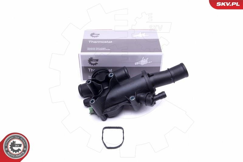 Termostatas, aušinimo skystis ESEN SKV 20SKV094
