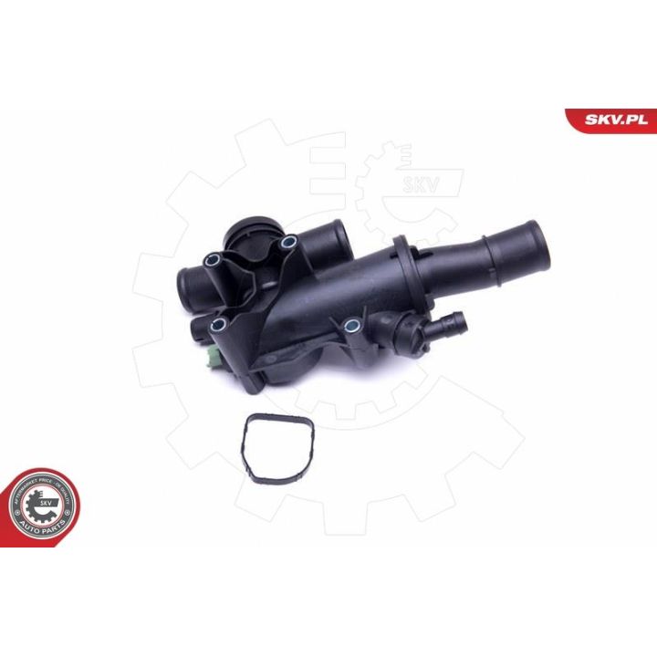 Termostatas, aušinimo skystis ESEN SKV 20SKV094