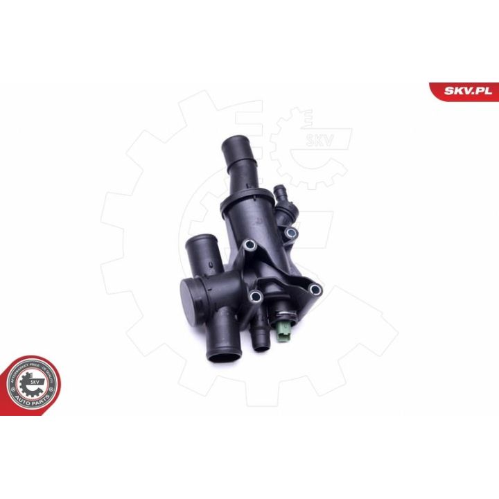 Termostatas, aušinimo skystis ESEN SKV 20SKV094