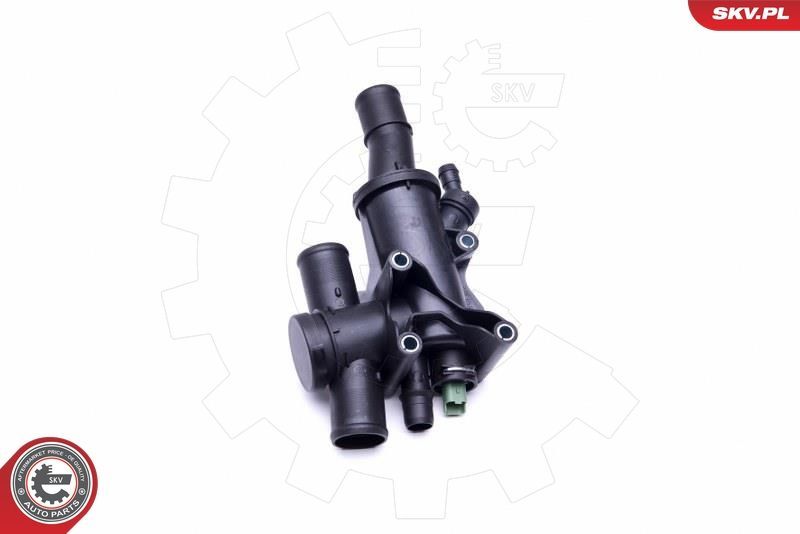 Termostatas, aušinimo skystis ESEN SKV 20SKV094