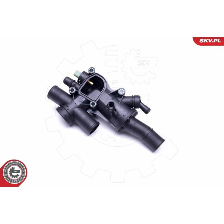 Termostatas, aušinimo skystis ESEN SKV 20SKV094