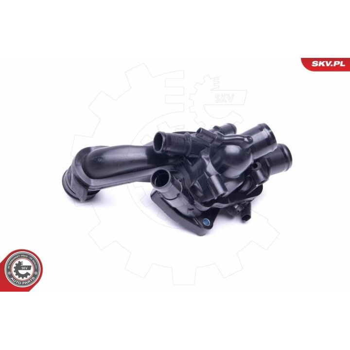 Termostatas, aušinimo skystis ESEN SKV 20SKV100