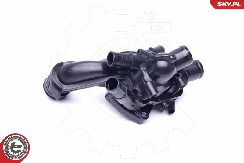 Termostatas, aušinimo skystis ESEN SKV 20SKV100