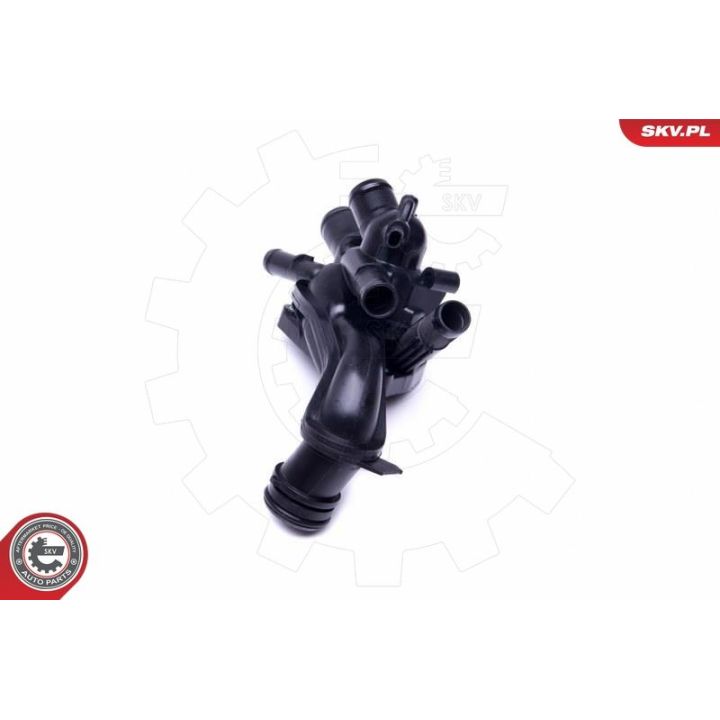 Termostatas, aušinimo skystis ESEN SKV 20SKV100